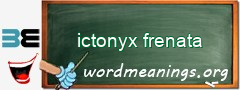 WordMeaning blackboard for ictonyx frenata